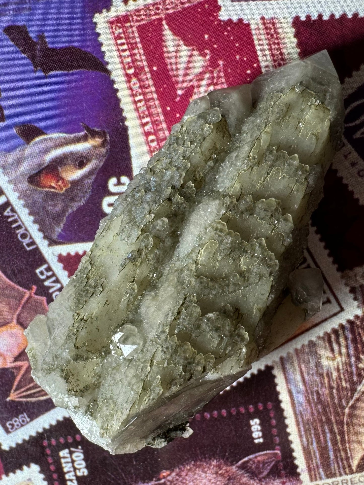 Close view of the two main points lit from a low angle highlighting the details of the sprouting growth forms on the surface. They appear like rows of matchsticks, dull rows capped with larger shinier crystals.
