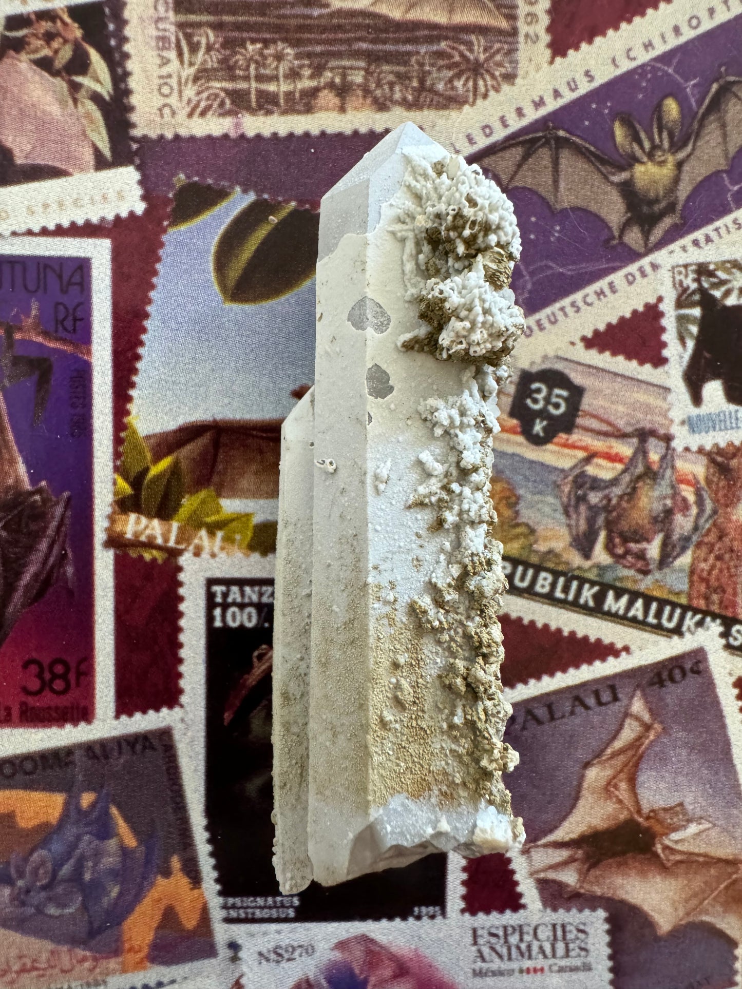 The same side as the previous image, with a different angle of lighting highlighting the three dimensional mineral growth. The white crust has some cheese holes in it and is partially missing on the tip of the longer point. Underneath it is also matte white.