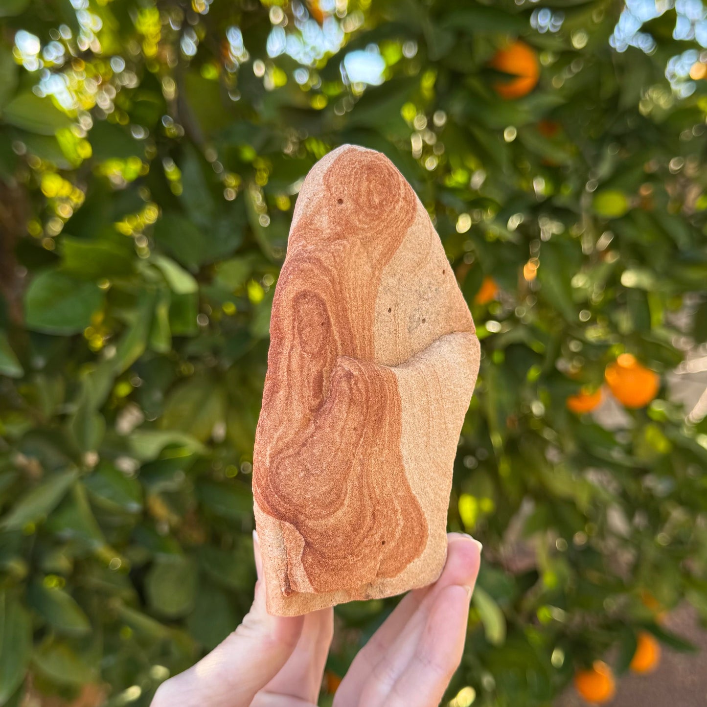 Option F held at an angle to focus on a formation of rings on one edge of the red sandstone that form an image resembling the Virgin Mary with a halo, holding the baby Christ.