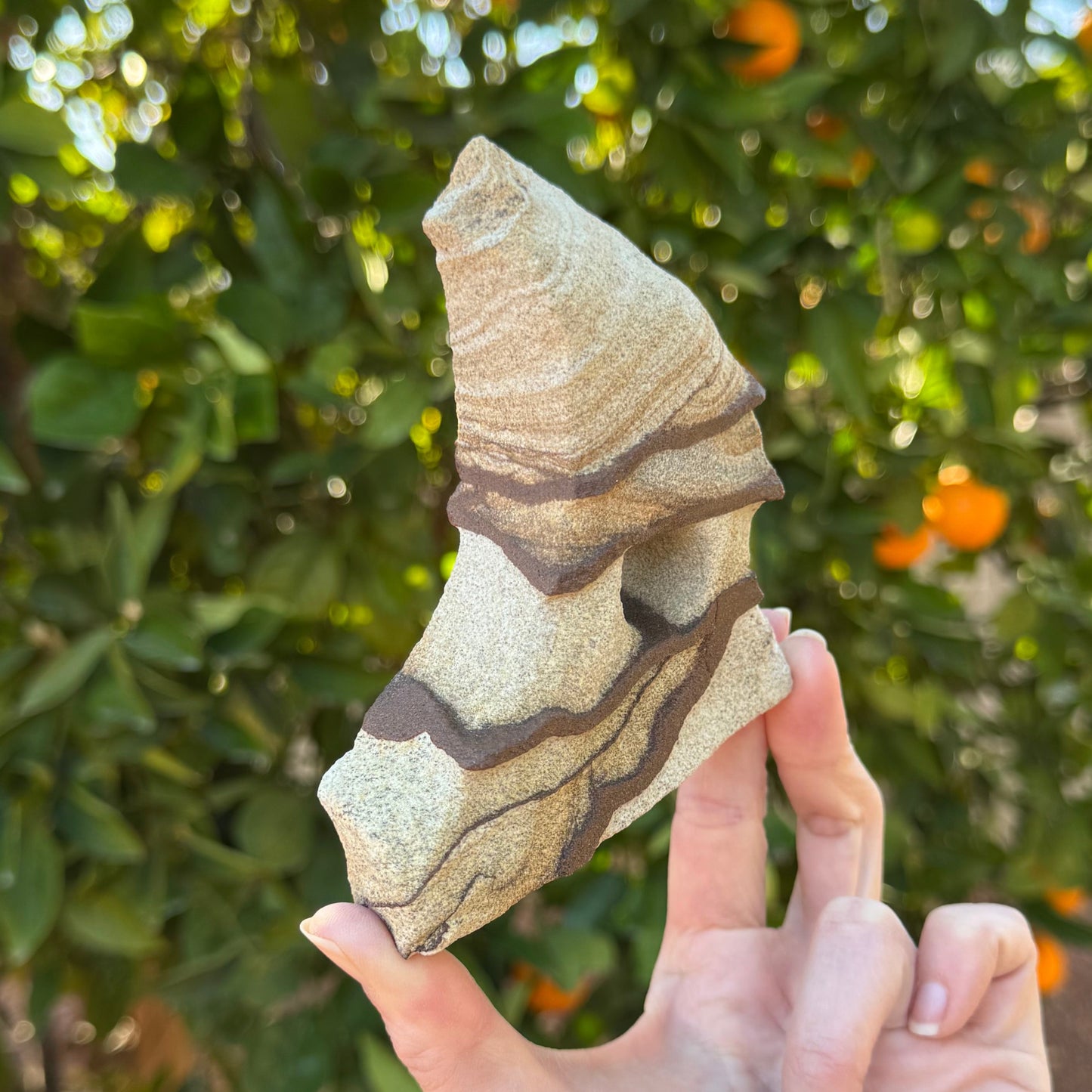 Close view of option H, a flat slab piece curved like a wave with light gray-brown sandstone cut through with dark brown iron bands that stand out from the surface.