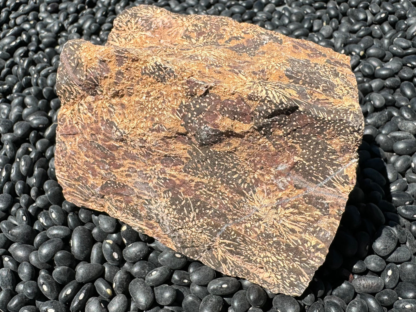 Spider jasper