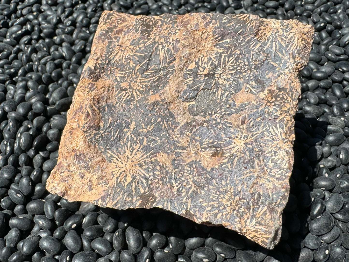 A square flat side of the piece with good pattern, but muted by a milky layer over the top.