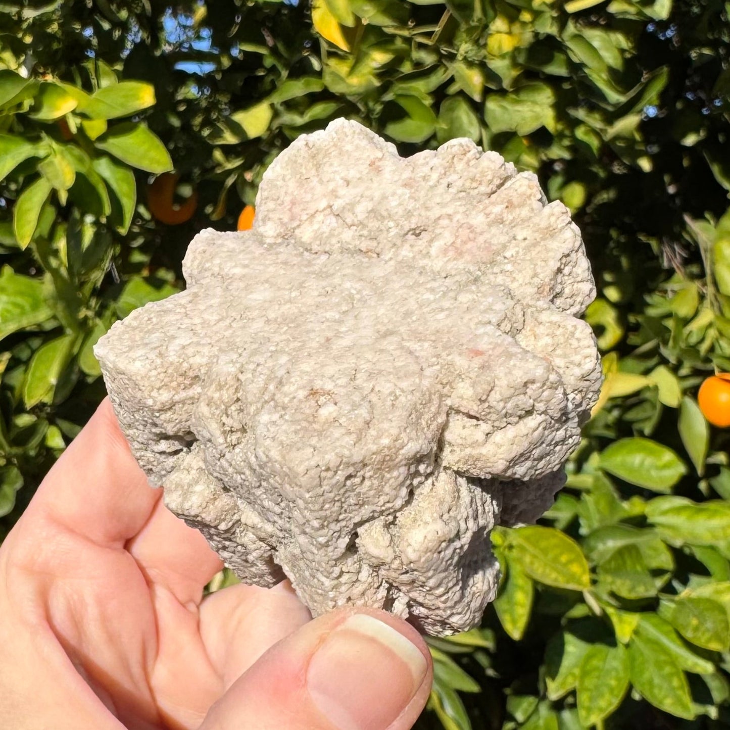 A more detail view showing the texture of the piece, granular and rough.