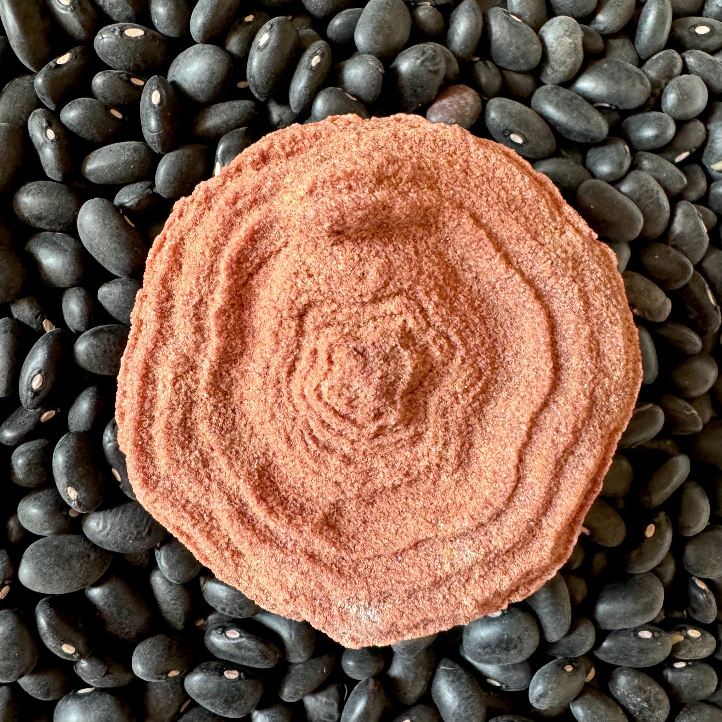 Detail view of a single near-round pseudo-stromatolite, wide with wavy layers, red sandstone color, and grainy texture.