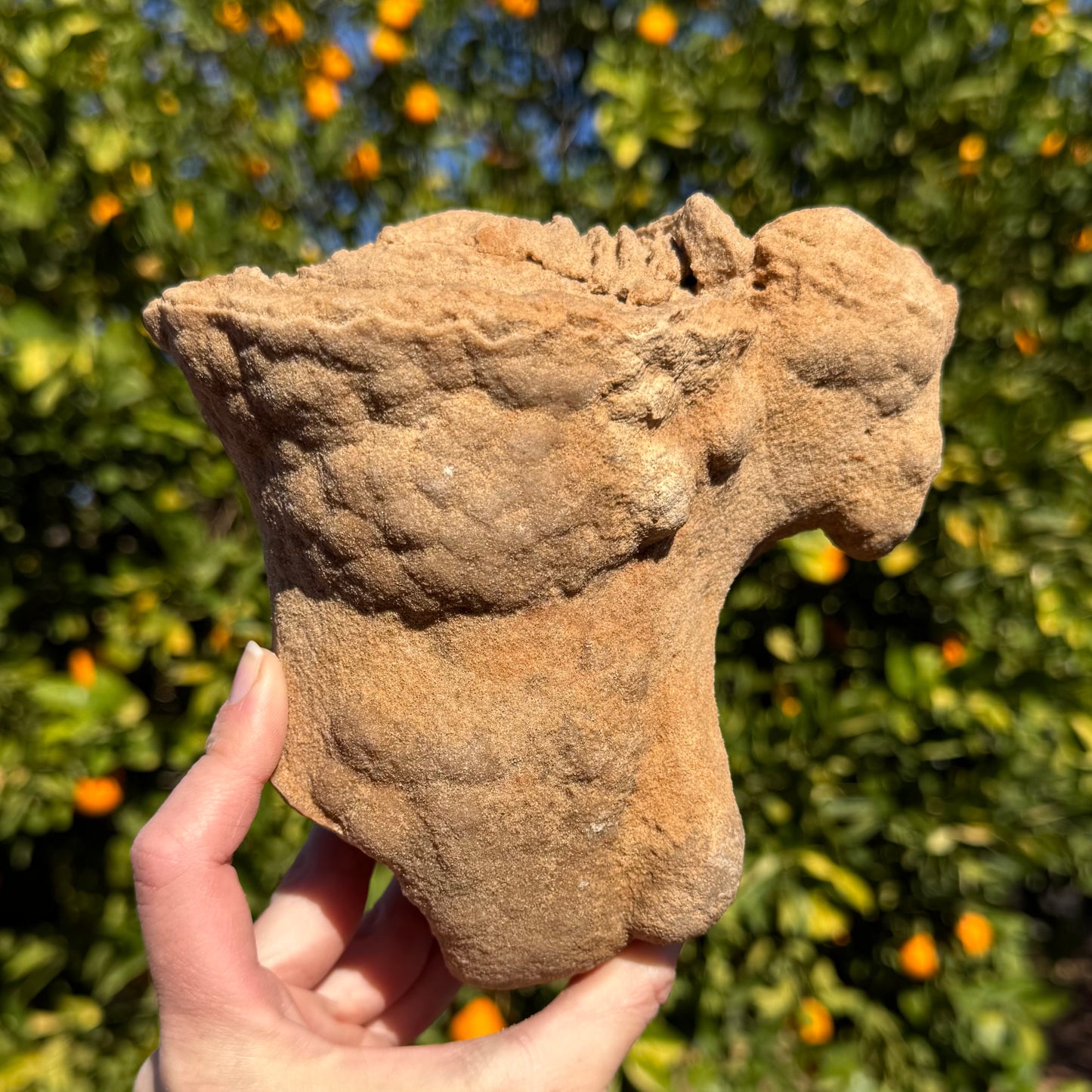 Another angle of the side-view of the piece, showing it is textured like small lumps, almost botryoidal. The right edge is perfectly curved up to the smaller formation on the side.
