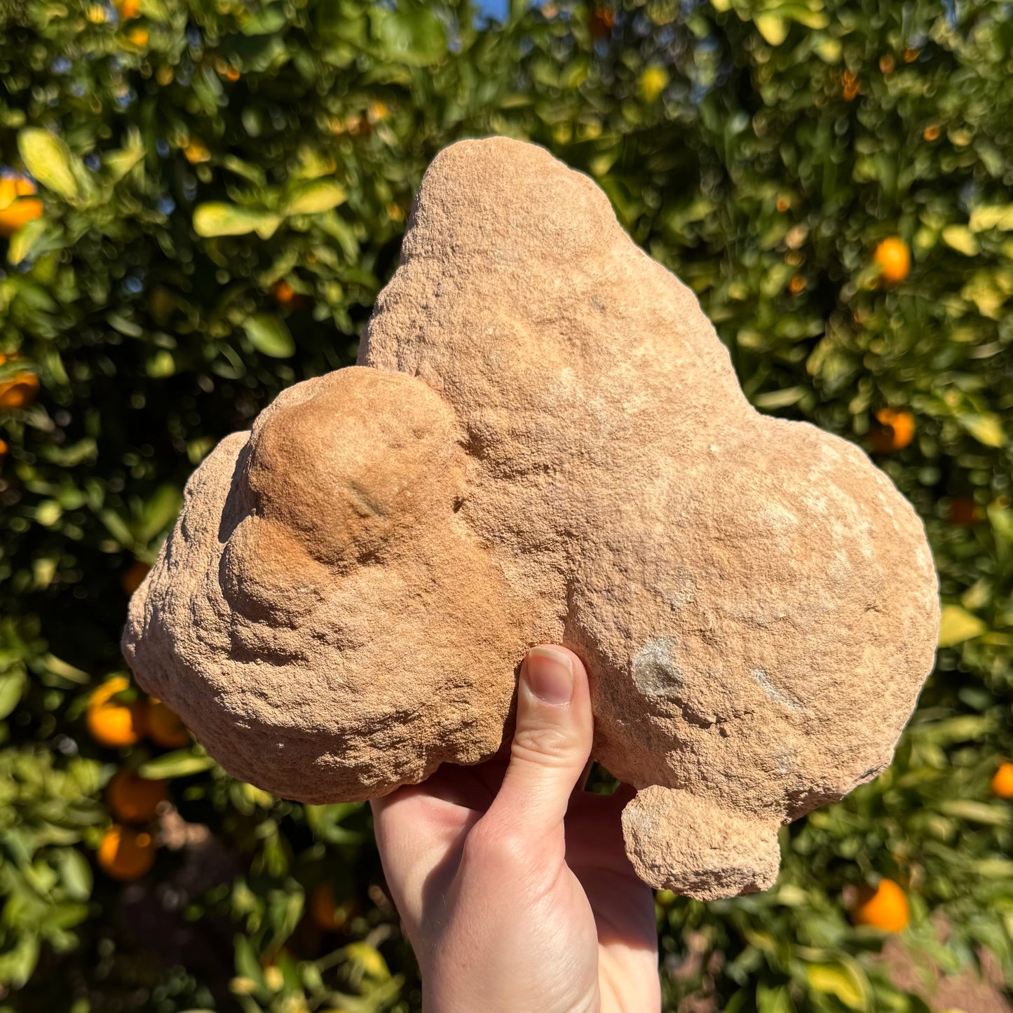 The backside of the piece, two lumpy round forms and one cone-like one, with a small round shape attached to one of the spheres.