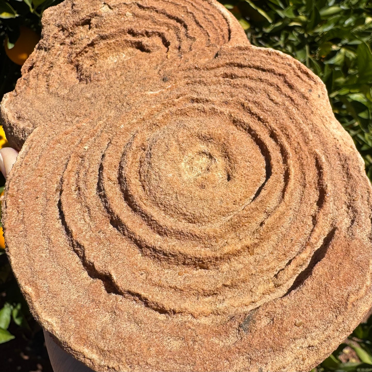 Close detail view of the face of the large sphere with the smaller one in the background, to show the grainy sandstone texture it is composed of.