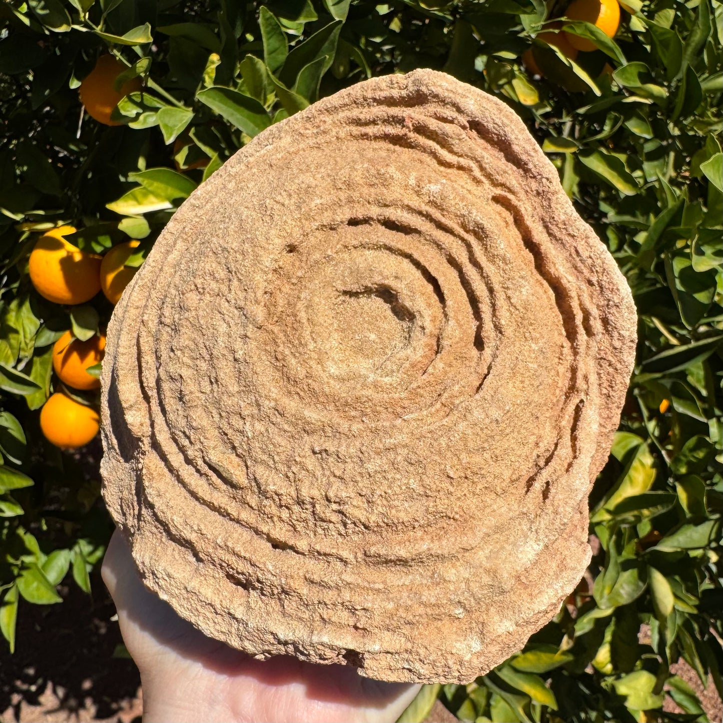 Close detail view of the main face, showing the grainy sandstone with rough texture in places.