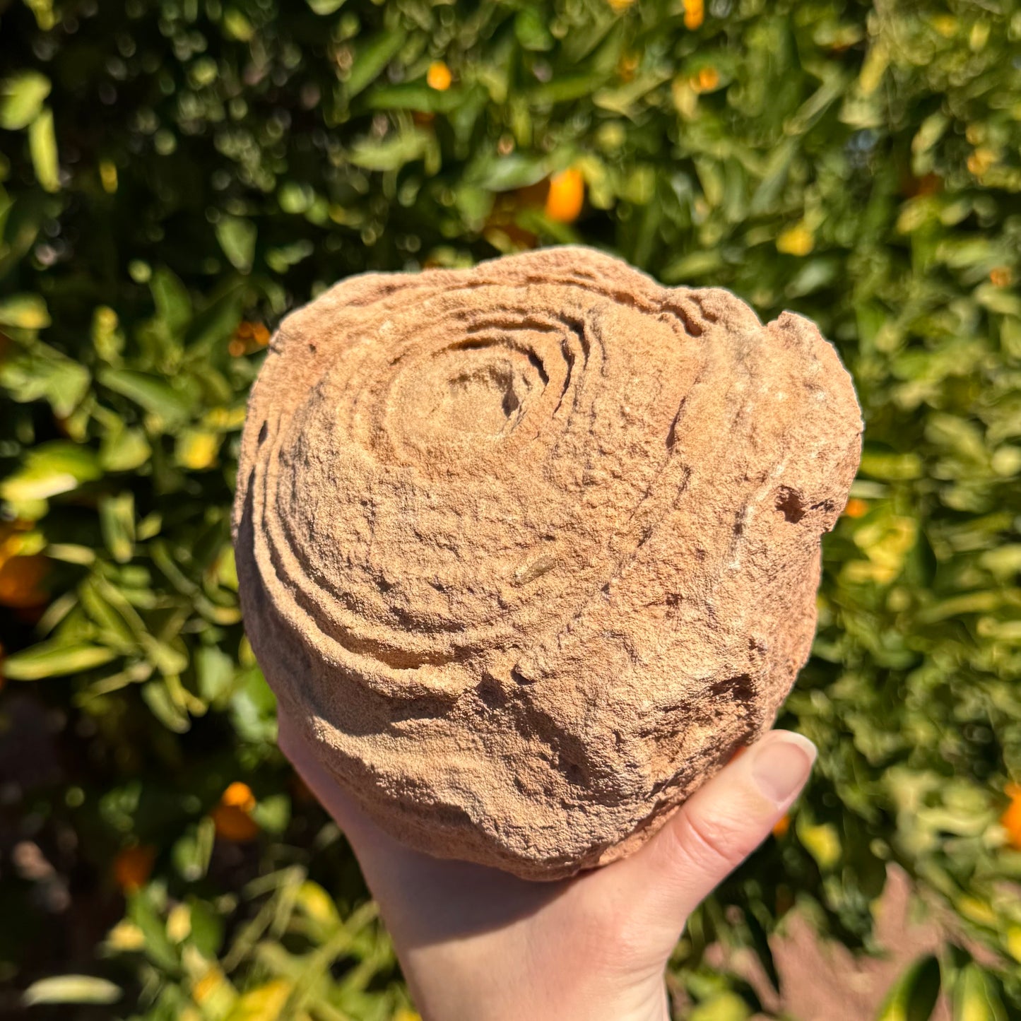 Angled view of the piece to emphasize shadows, showing some rings are quite tall, and the face appears as if dripping down the side.