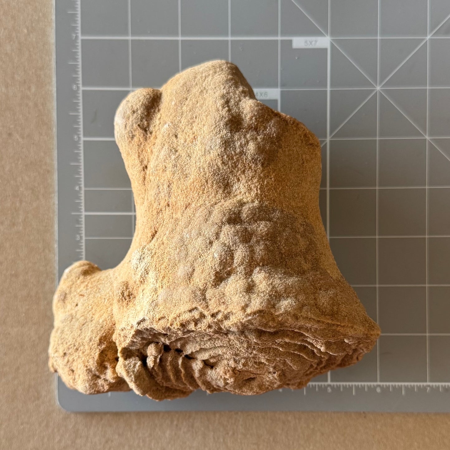 Scale image of the piece on its side on a measuring mat, measuring almost six inches long and wide.