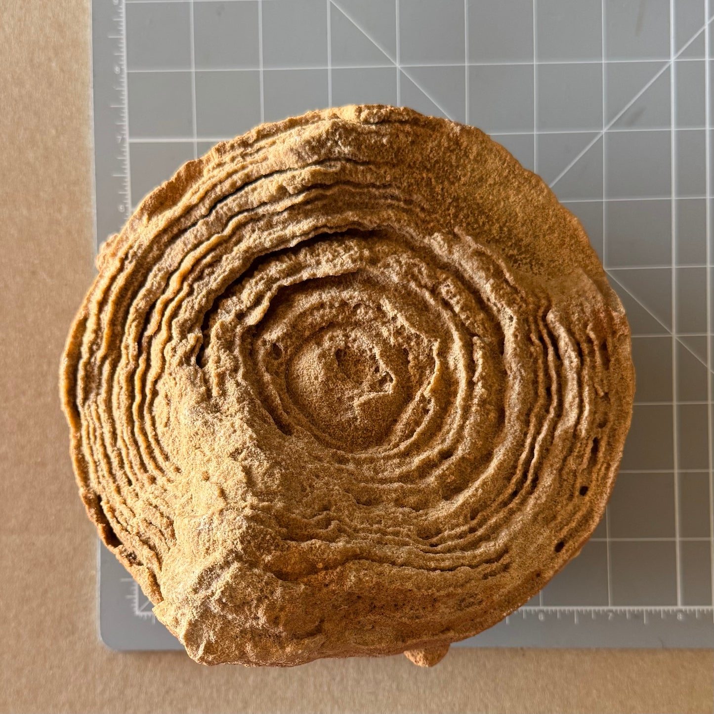 Scale image of the piece on a measuring mat, measuring approximately seven inches across and a bit under seven inches wide.