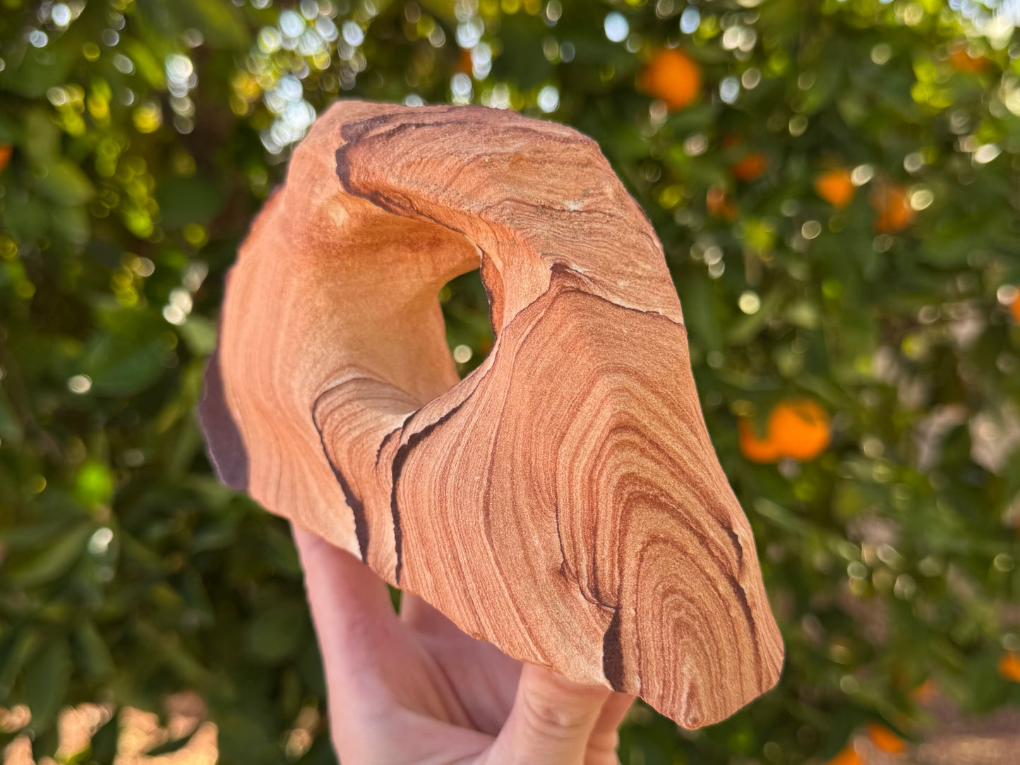 Option E held at an angle to show the dramatic curves of the arch ringed with red sandstone layering and thin dark bands of color.