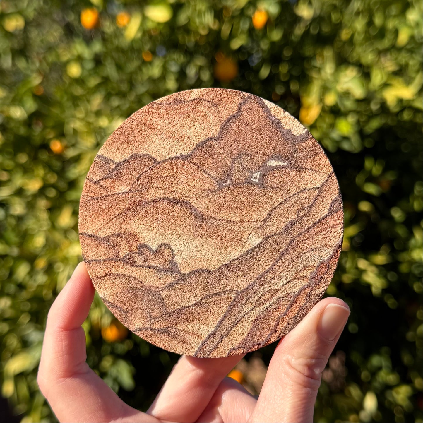 An example coaster held in a hand for scale, the piece showing good scenic formations like rolling hills.