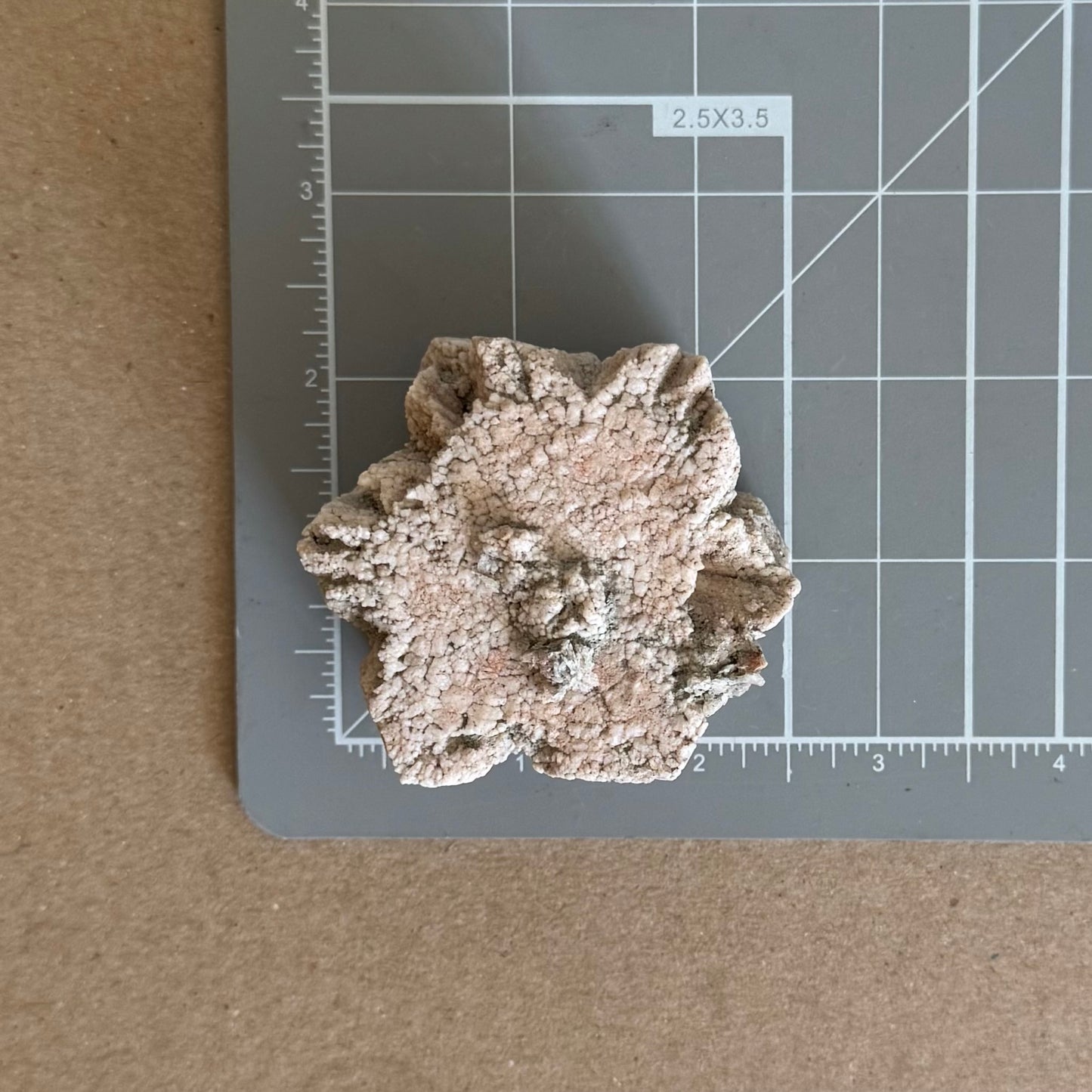 Scale image of the piece on a measuring mat, measuring about two and a half inches long and a little less wide.