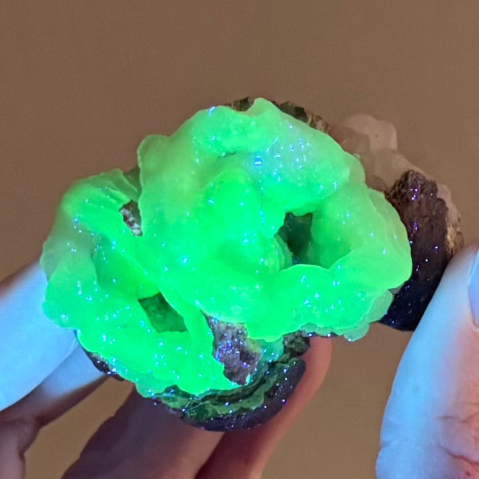 The specimen fluorescing strong yellow-green under UV light in low lighting. The piece reacts well.