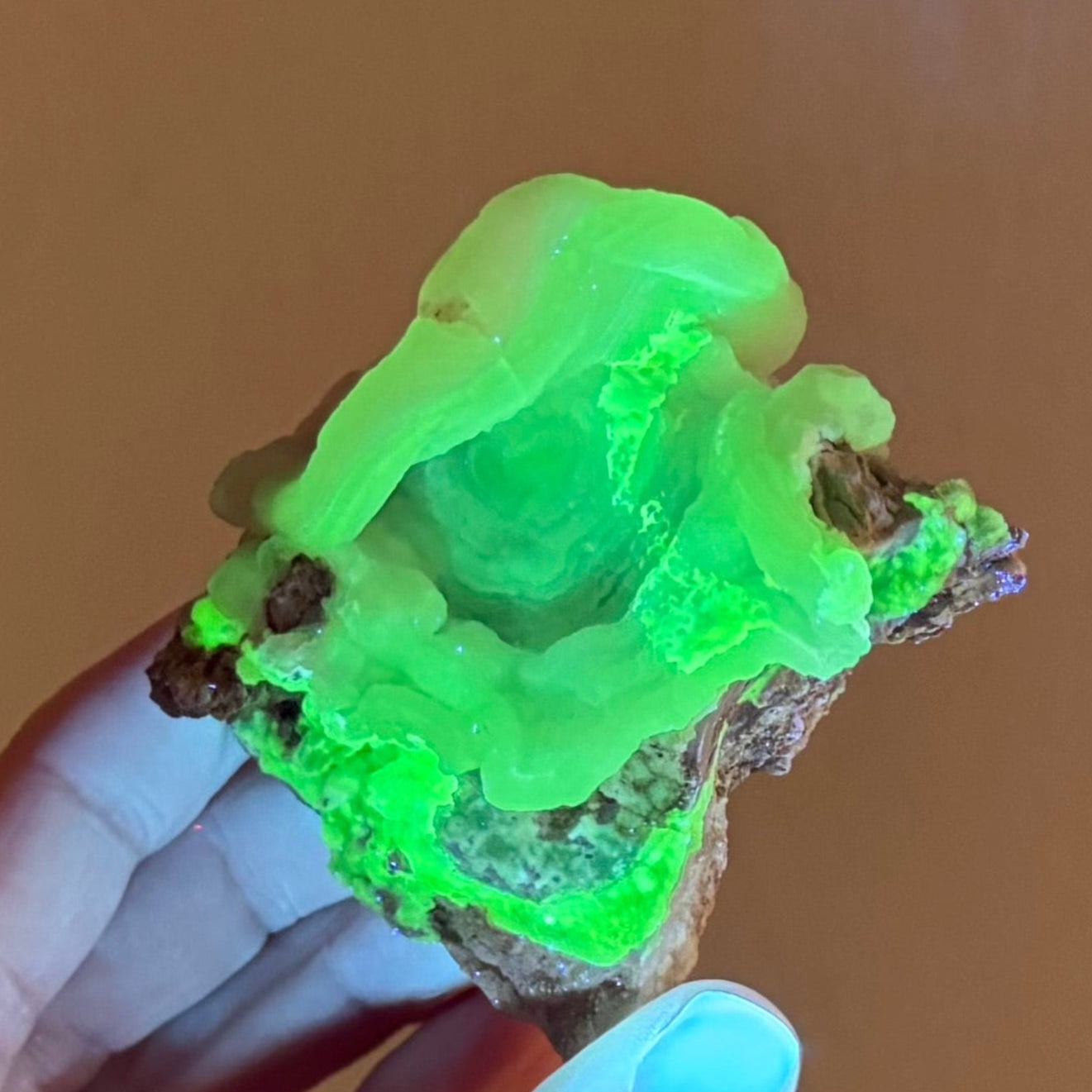 The specimen fluorescing strong yellow-green under UV light in low lighting. The piece has excellent, even reaction, with agate rings of milky appearance. There is a band of chalcedony running through the matrix that fluoresces an even more vivid yellow green.