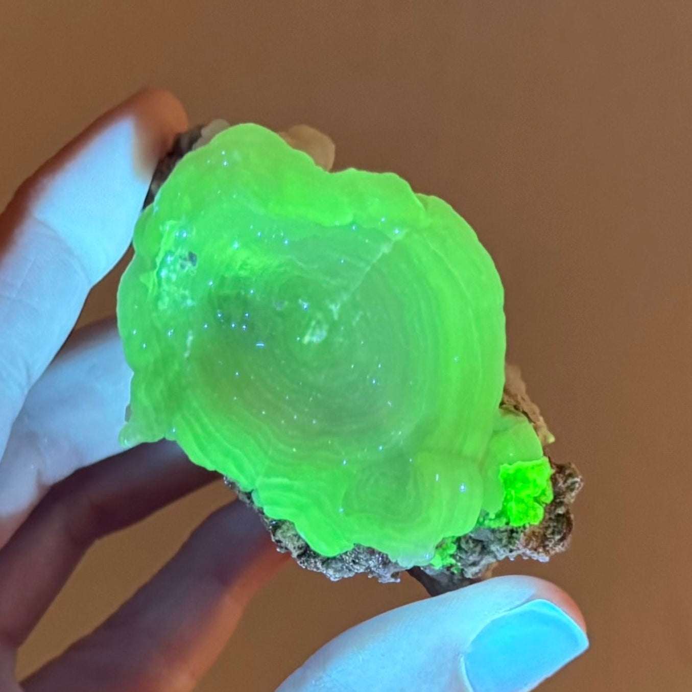The large oval formation on the specimen fluorescing strong yellow-green under UV light in low lighting.