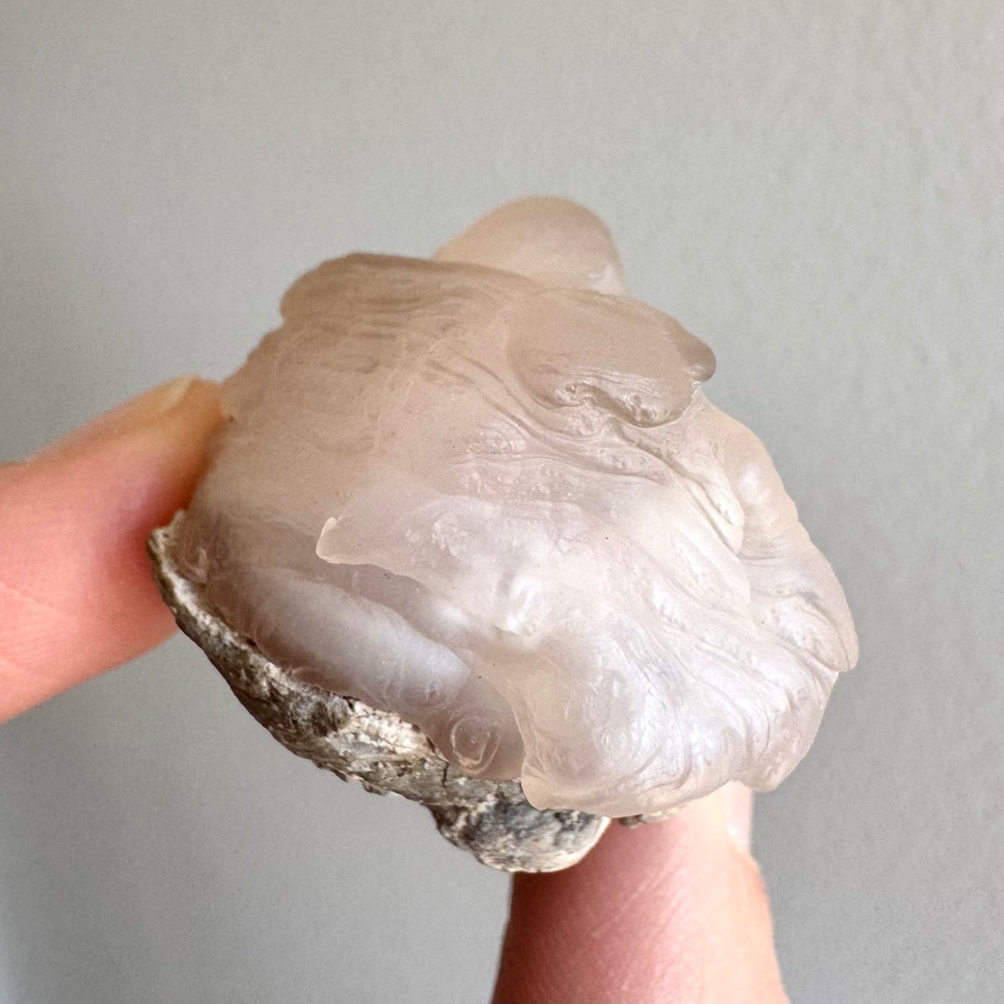 End-view of the specimen, with swirling ayers and botryoidal forms along the base. The chalcedony has some pock-holes in the surface.