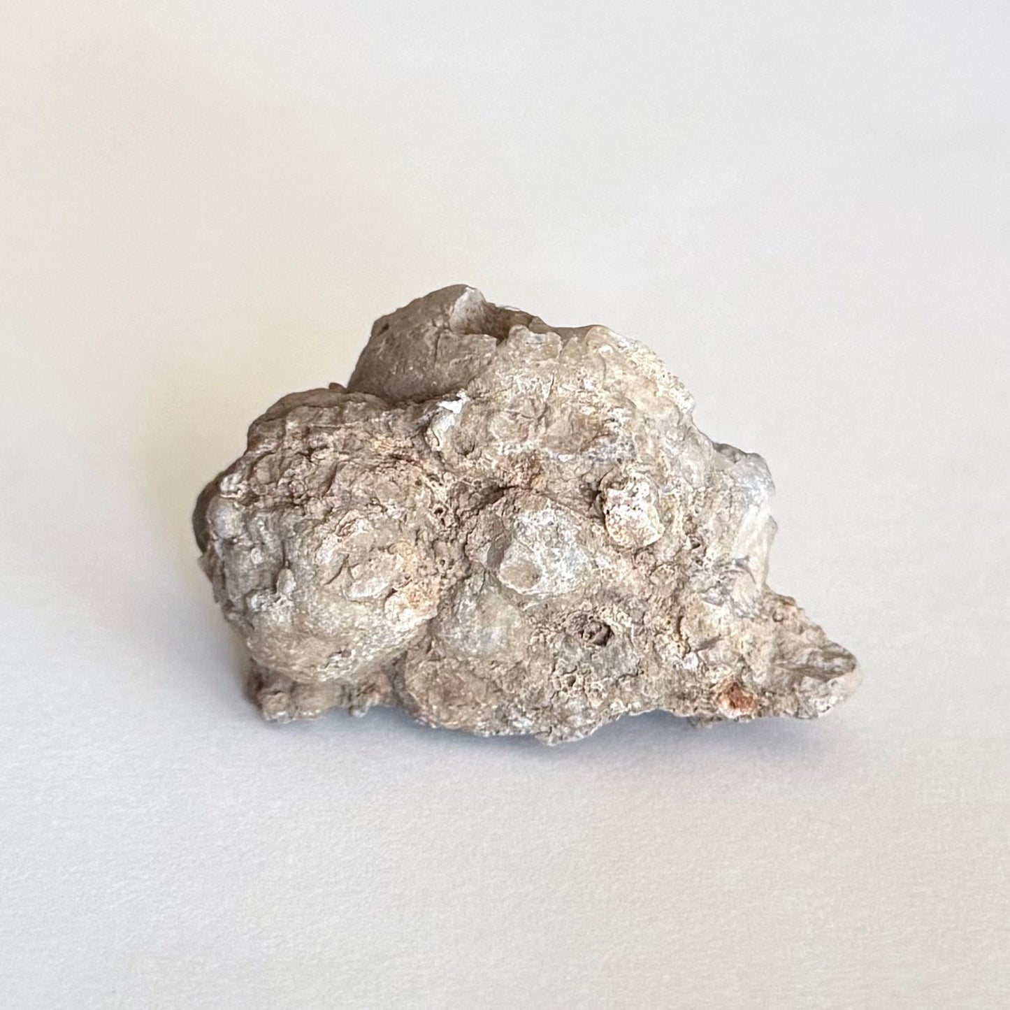 The underside of the specimen, plain broken rocky matrix with light tan-gray color and some rounded forms to it.