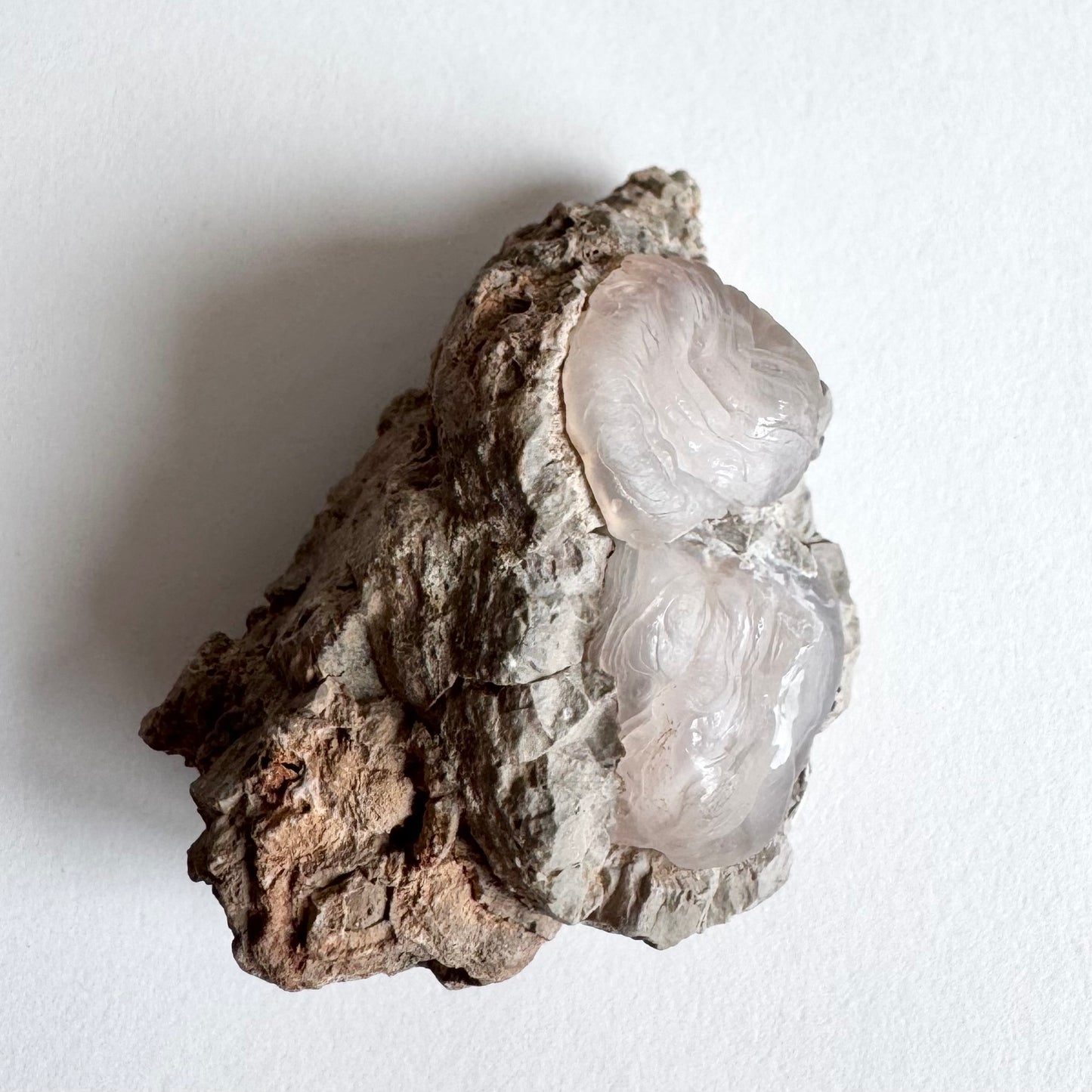 The piece on its side, showing a wedge of gray-tan rock matrix with the two domes on the right-hand face.