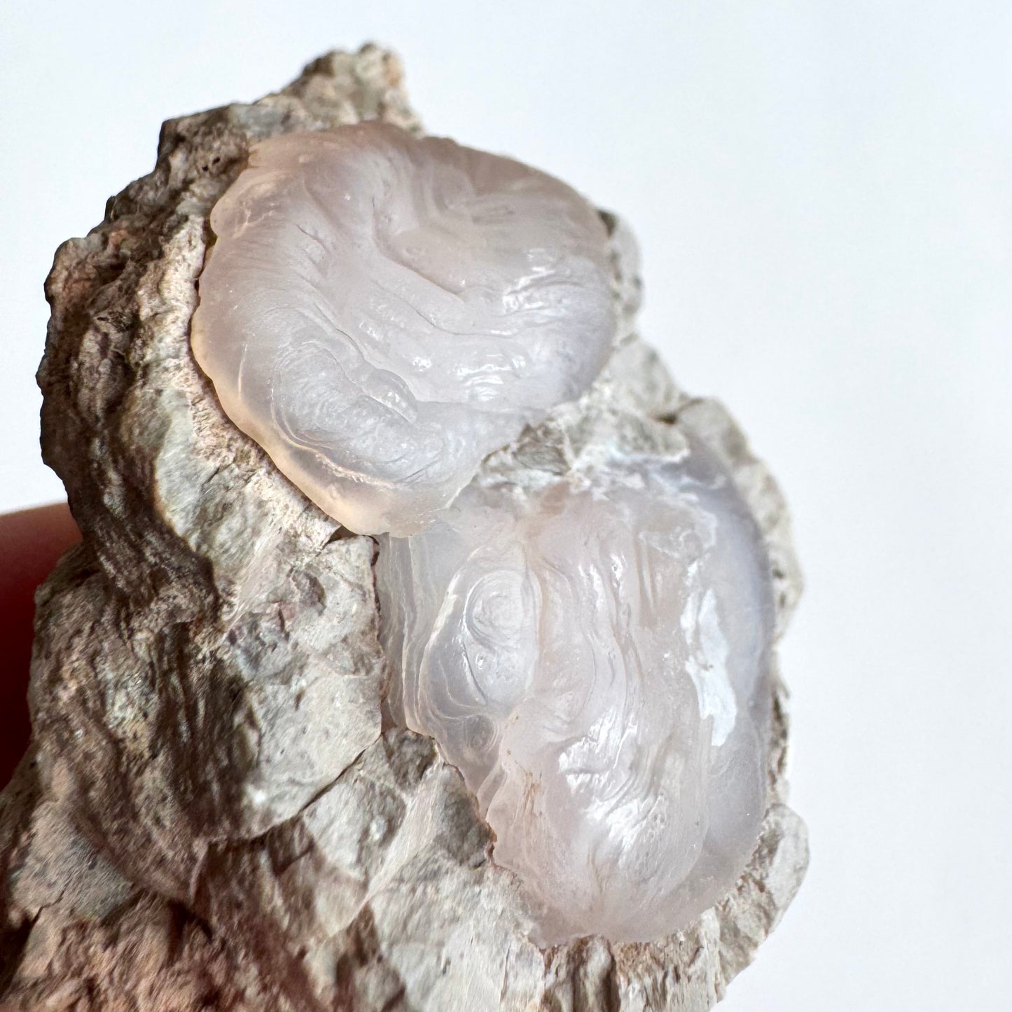 Close detail side-view of the two chalcedony formations, excellent banding layers with the edge bulbous and thick and almost fleshy texture.