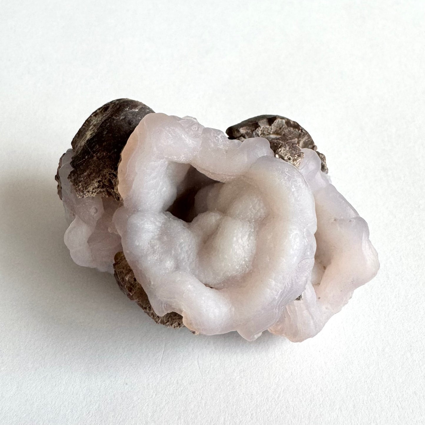 Detail of the specimen focusing on the larger chalcedony formation, with a deep hollow reaching into the dark and bumpy lighter-colored botryoidal forms lining the interior.