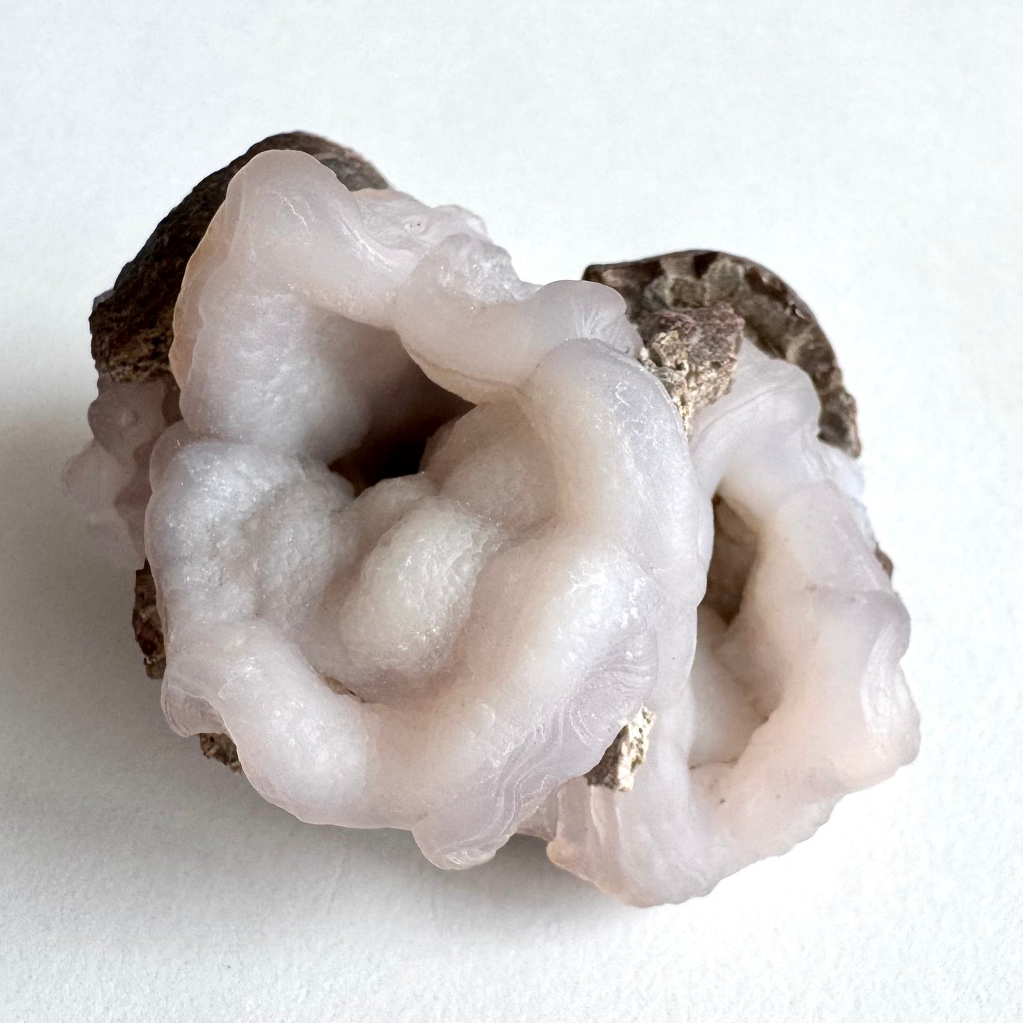 A pink chalcedony nodule with two oyster-shell shaped formations side-by-side. They have excellent ropy rippling form along the thick rims, with bumpy botryoidal forms inside the hollow interiors. The pink color is very light.