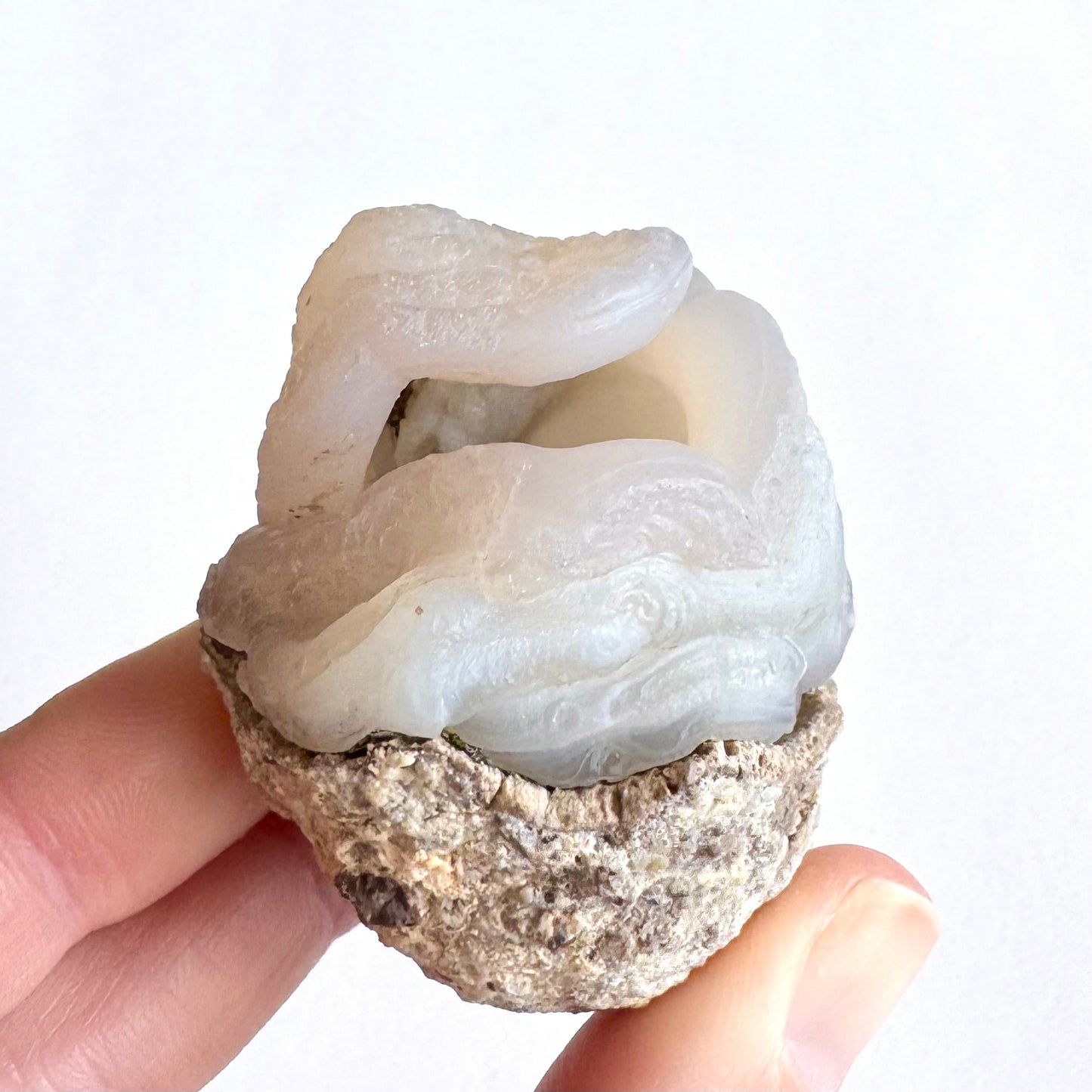 An egg-shaped pink chalcedony nodule, with very faint fleshy pinkish tint to the chalcedony. The bottom half is a rounded light gray matrix, with the top half a ropy nest-like form with a narrow mouth-like opening revealing a hollow interior.
