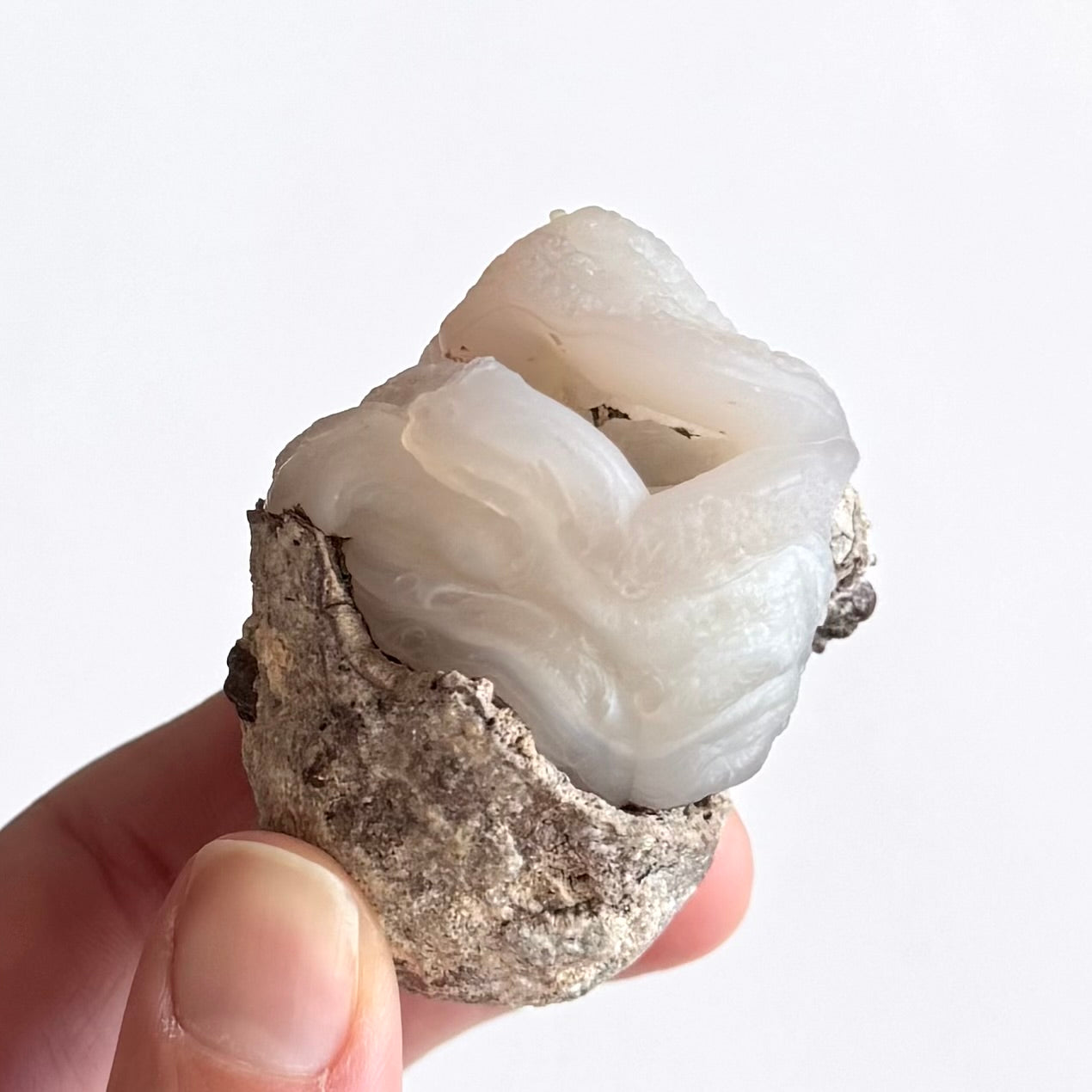 Angled view of the specimen, the opening angular with a thicker rim like lips, and ropy banding down the sides. Some white agate layering is visible through the translucent chalcedony.