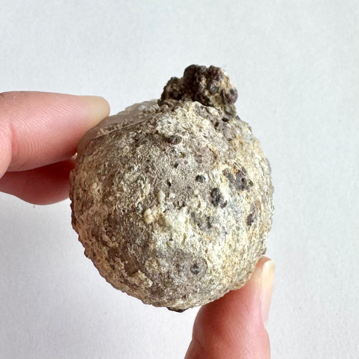 The underside of the piece, a rounded dome of light gray rock matrix with grainy composition and a clump on one side.