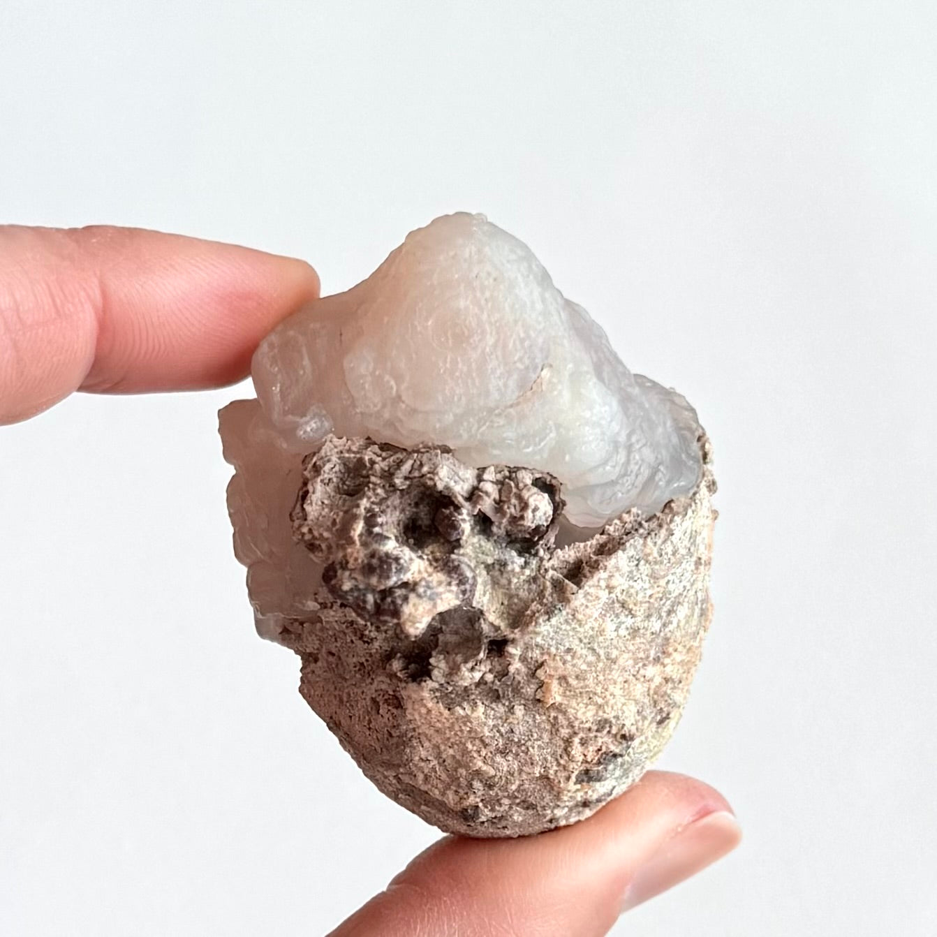 The reverse of the specimen, more covered in the light gray matrix with wrinkled concentric banding.