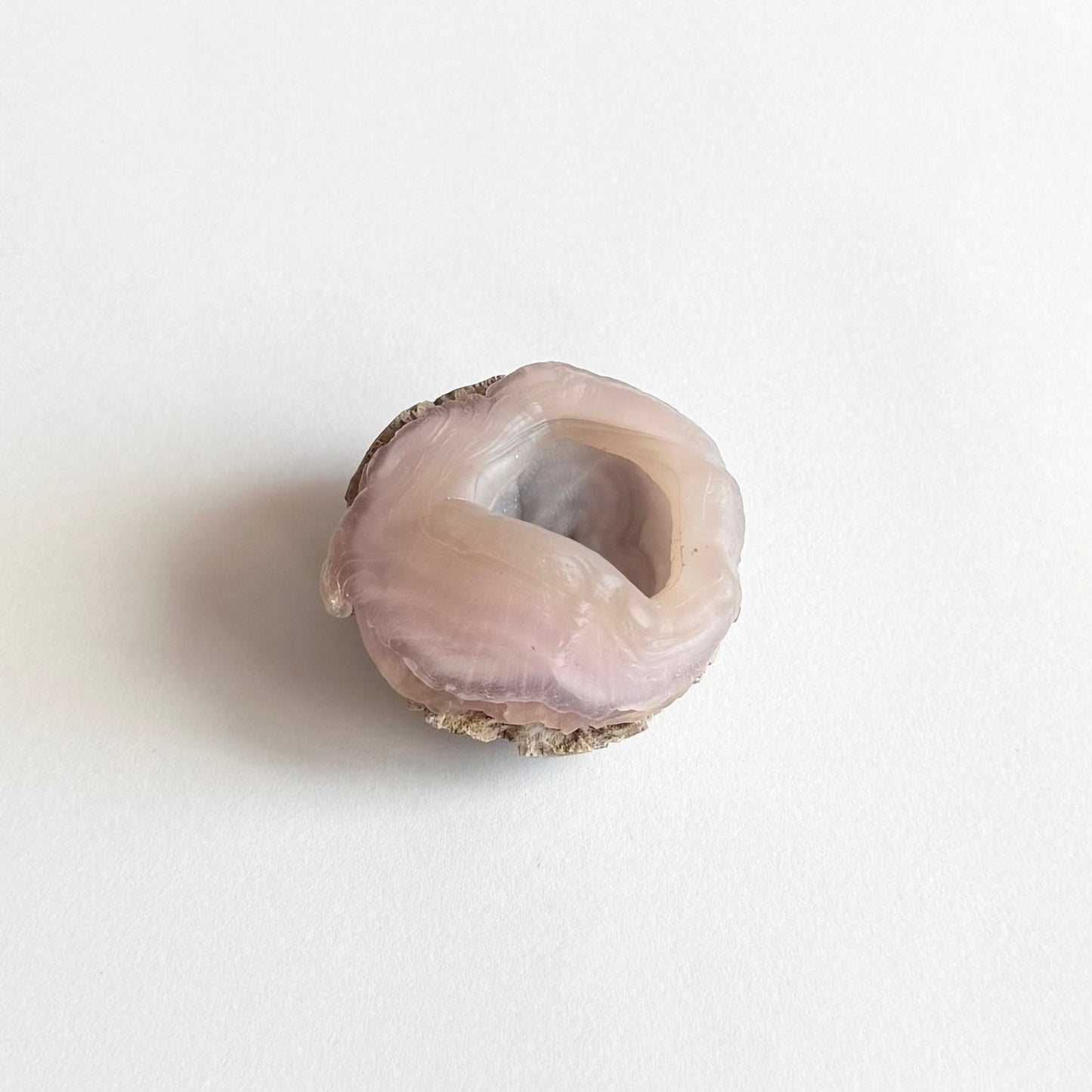 Another distant view of the specimen, showing light illuminating the translucent light pink chalcedony along the exterior of the piece.