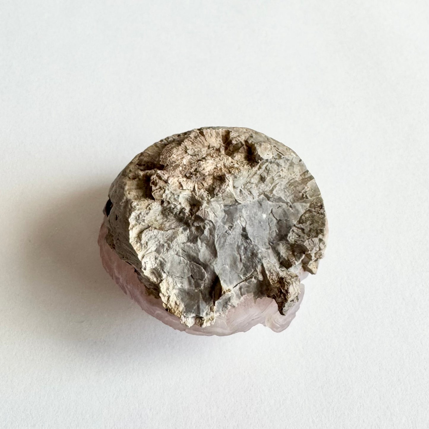 The underside of the specimen, a broken rounded light gray rock.