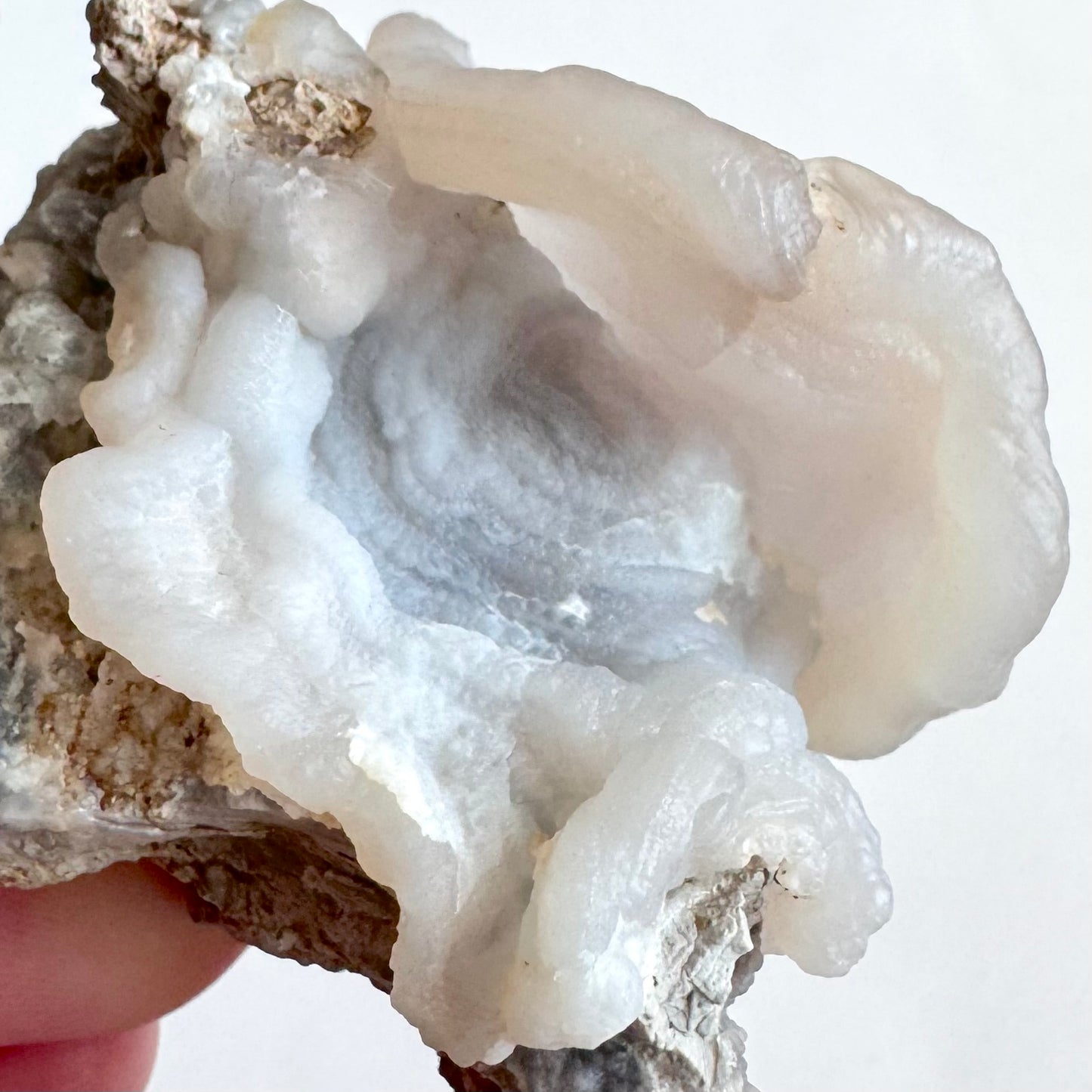 Close detail view of a pink chalcedony formation with very faint pinkish color. The piece has a banded appearance of more translucent and more opaque white material, in concentric rings out to a raised undulating warty edge on one side, with the other side raised straight up, showing the translucency of the material against a white background.