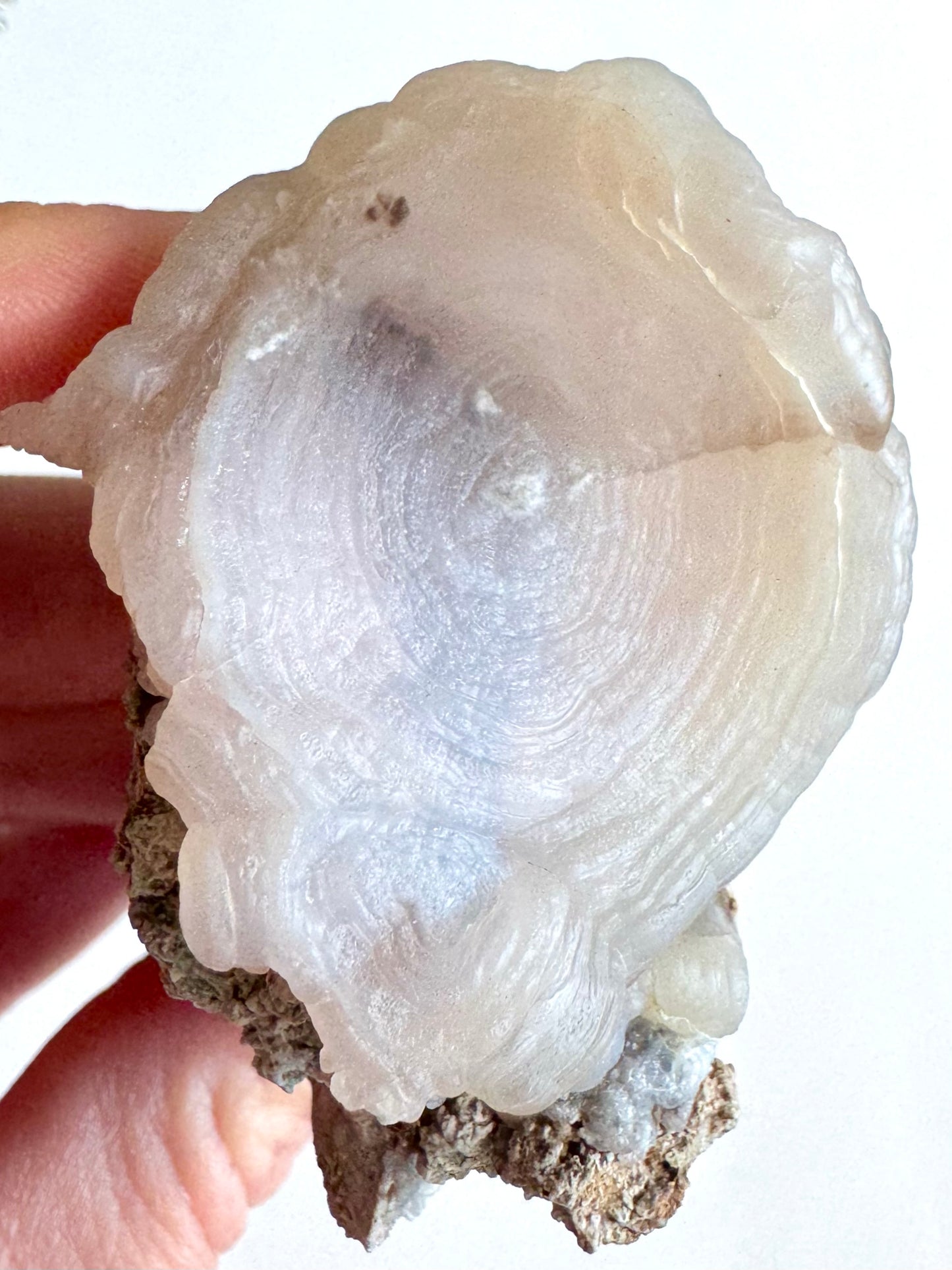 A closer detail view of the oval with concentric banding, the edges more bulbous and lumpy with botryoidal forms. The chalcedony is slightly translucent so you can see the dark matrix under half of it, the other half with a soft translucency through thicker chalcedony.