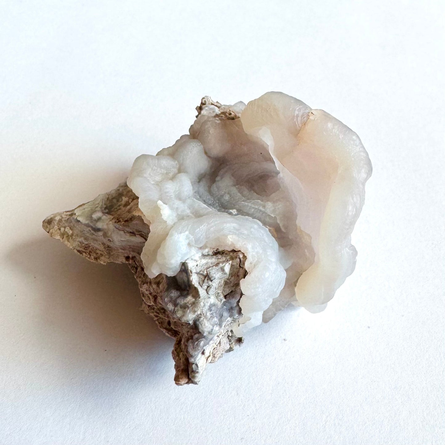 Side-view of the specimen, the thick edges of the clam formation pouring over the side with swirling form and botryoidal growth. A natural-appearing fracture, lightly iron-stained, starts in the top of the rim and runs toward the center of the two chalcedony formations.