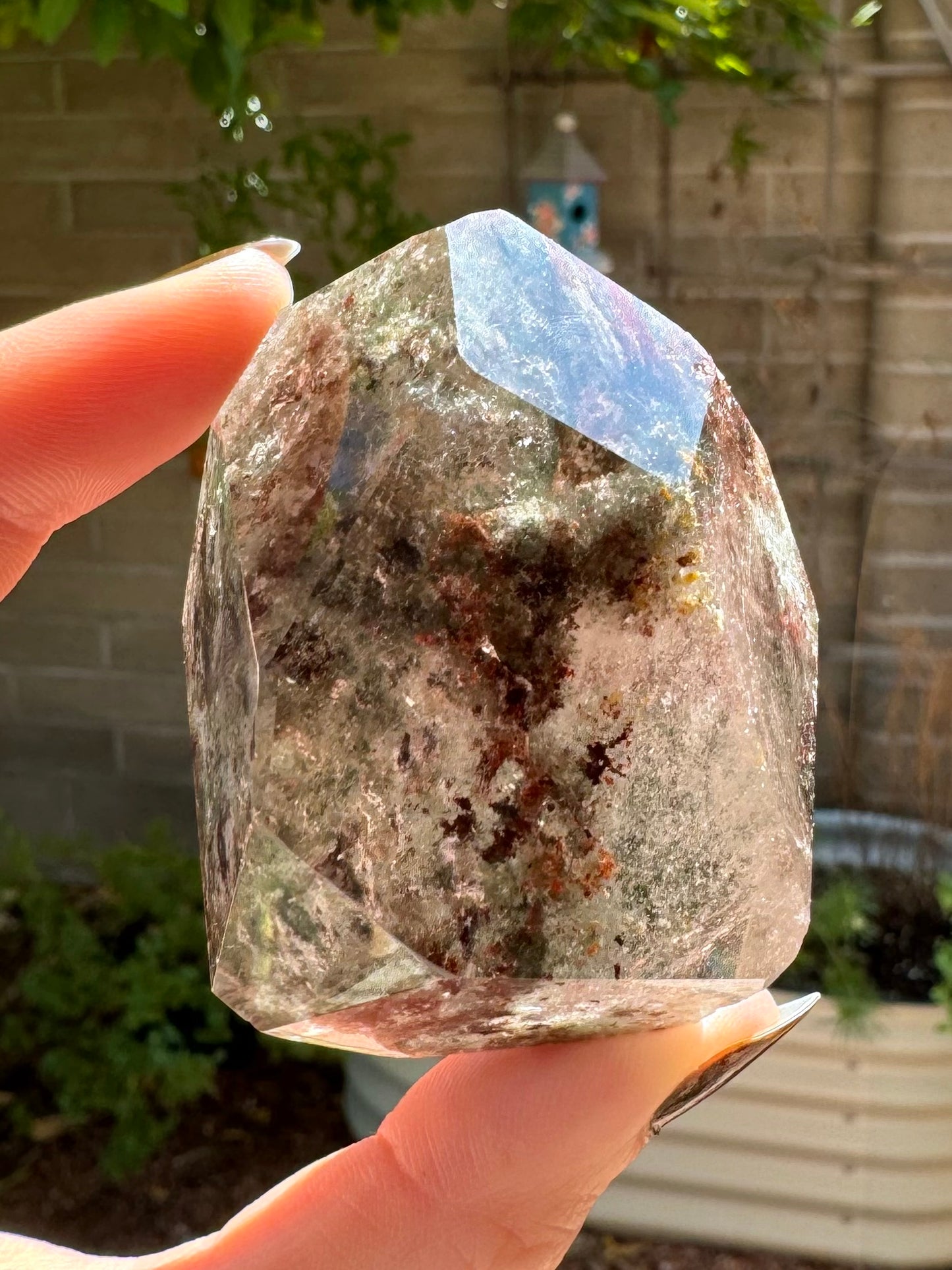 The garden quartz held up backlit by sun, showing it has more opaque chlorite inclusions in the top and more wispy quartz inclusions in the bottom half.