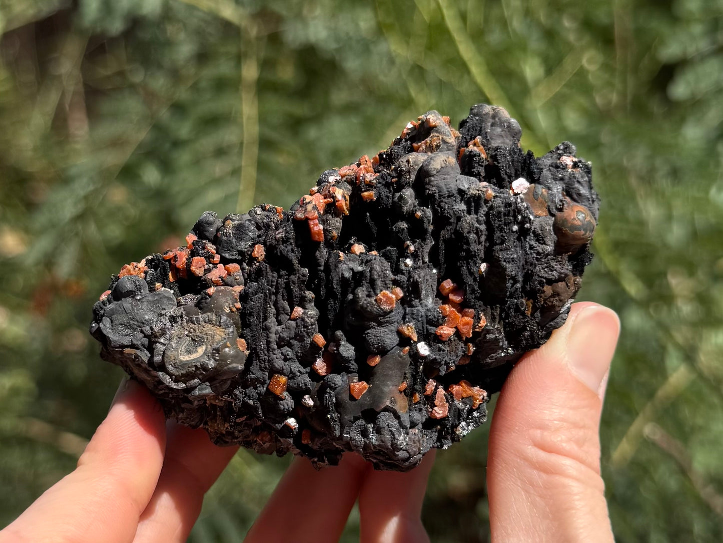View of the opposite side of the mineral, covered with more velvety black rounded spires. Sections are covered with bulbous forms of the more shiny mineral. Vanadinite covers patches of the side.