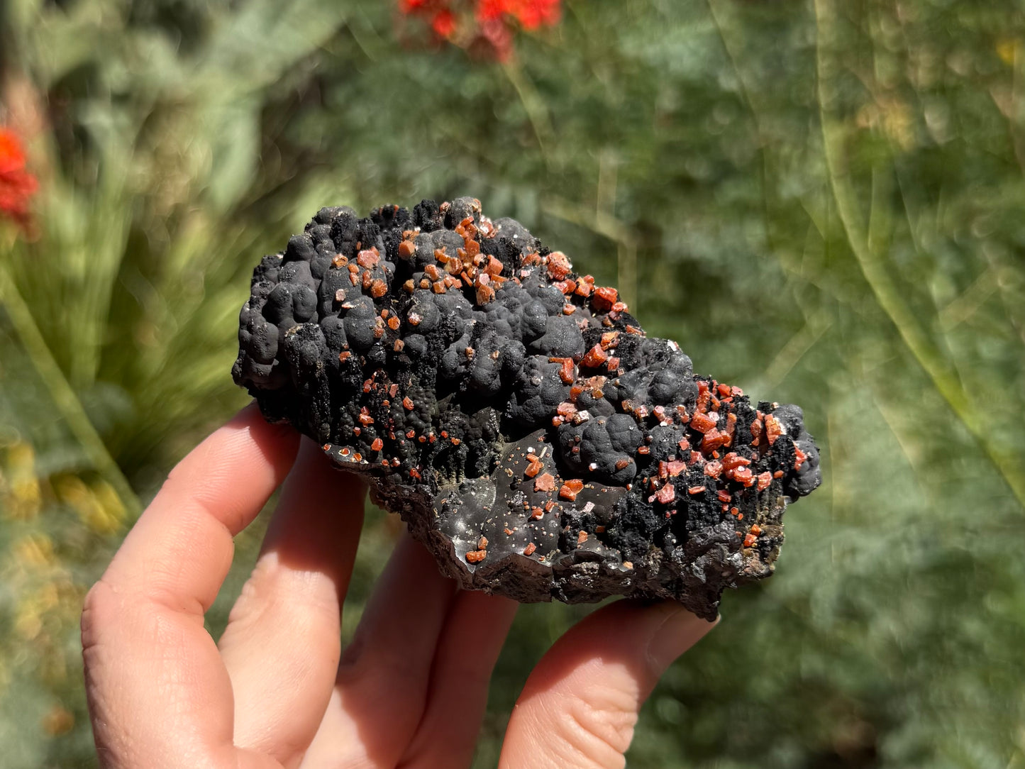 Side-view of the specimen, with matte botryoidal growth on top, and darker black spires on the sides to the left and right of a slope of shiny growth with more mammillary habit. The vanadinite on top also grows down the sides, with the slope also sprinkled with tiny crystals.