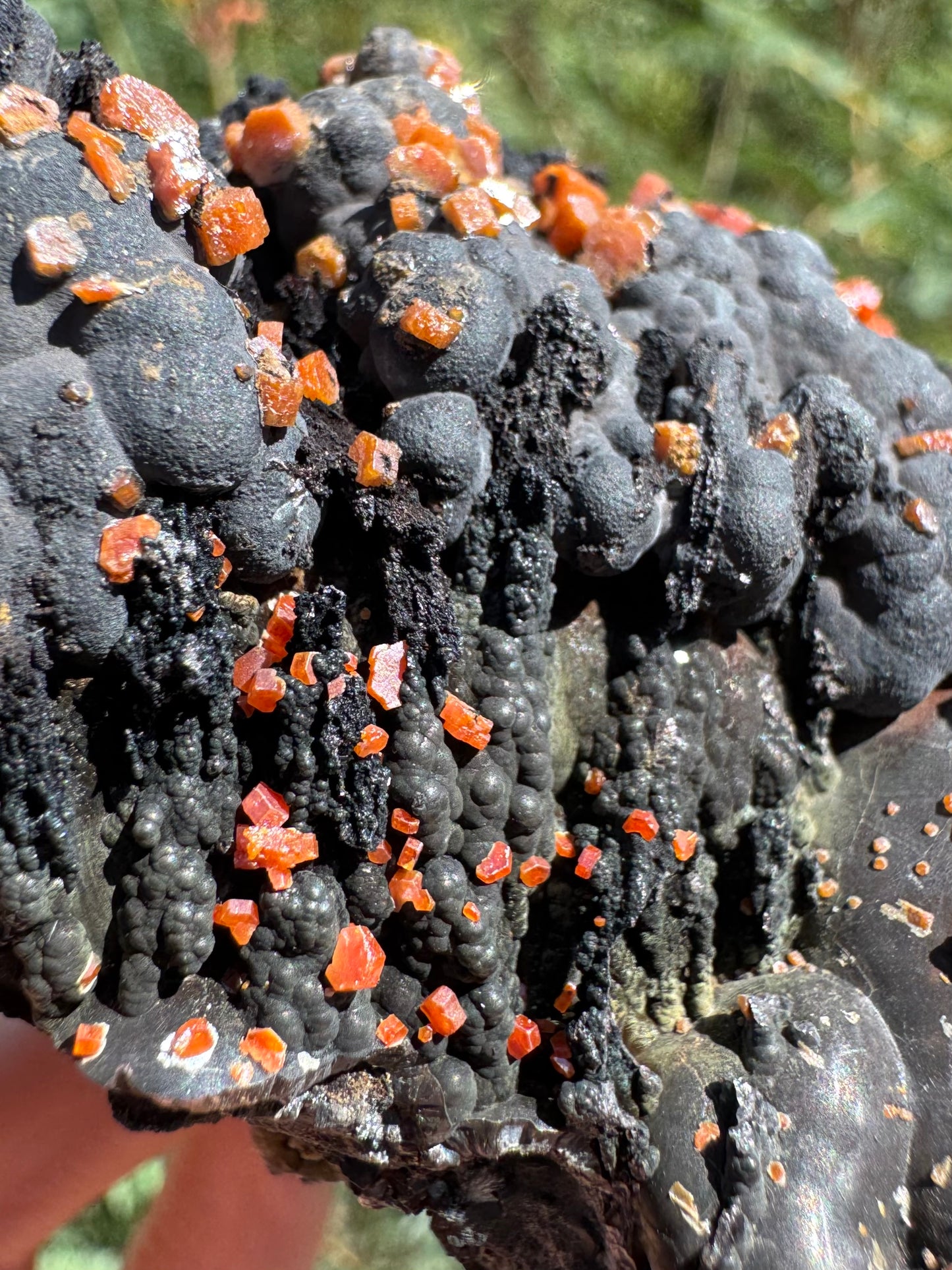 Detail of the well-formed darker black spires which have botryoidal surfaces and are a bit shiny. At the top the turn craggy and blend into the larger matte botryoidal growth on top. The vanadinite crystals covering the spires are a bit smaller than those on top, but are a deeper red color.