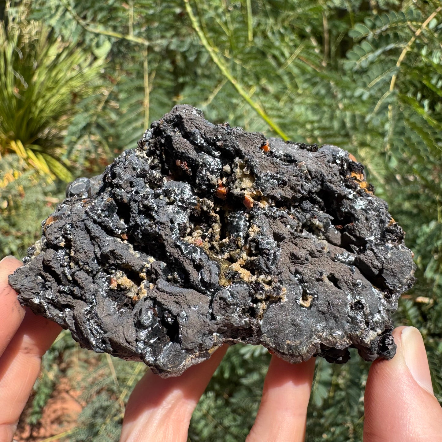 The underside of the specimen, broken matrix with irregular open pockets in it that are lined with shiny needles of radial growth. Some pockets have a very small beige mineral lining the interior, and there are a couple vanadinite crystals.