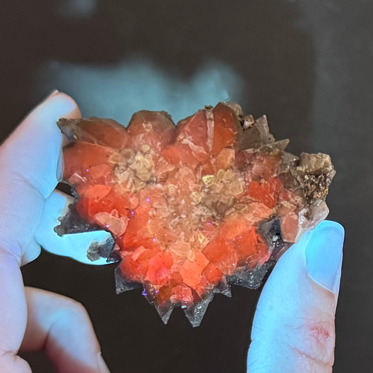 Chocolate dogtooth calcite, small