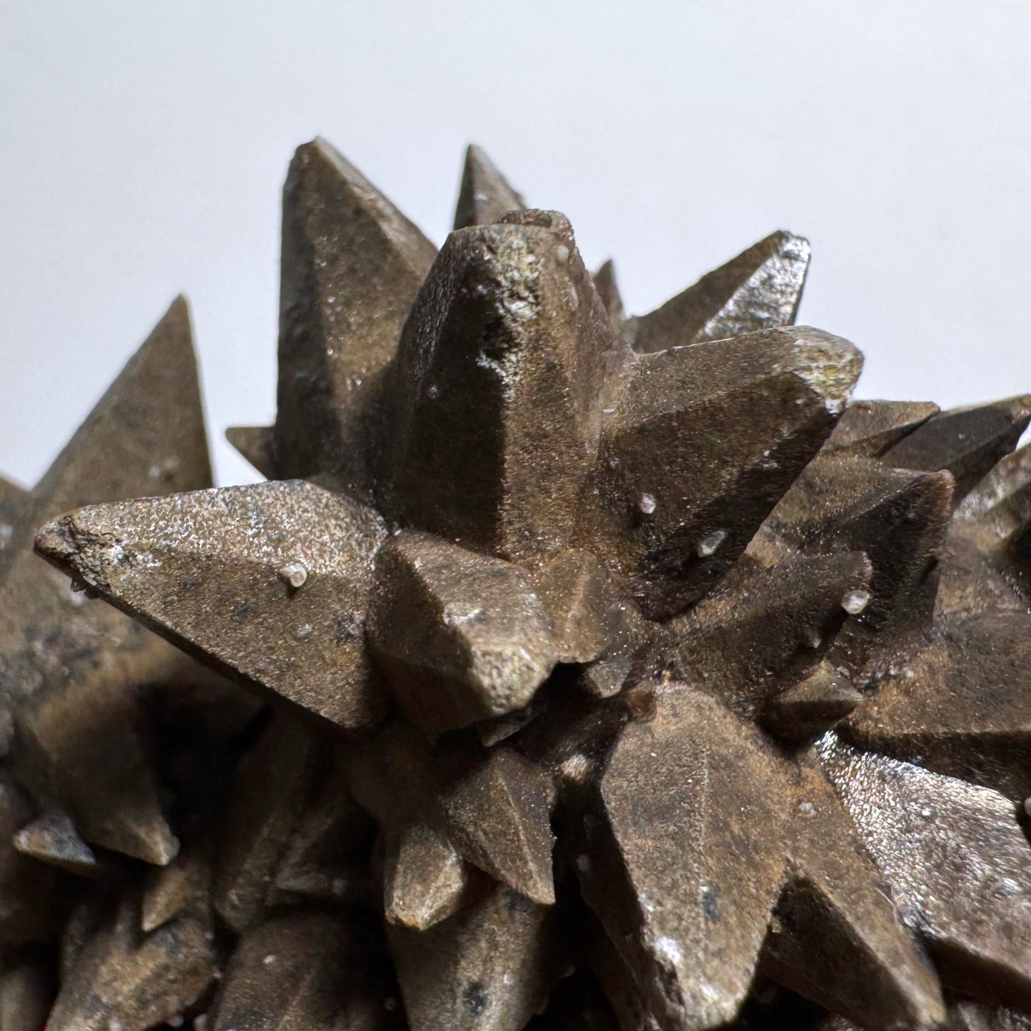 Close detail view of one of the specimens, the surface appearing matte but producing a sheen on certain angled faces. Many of the points have rough tips, dissolved away. There are small colorless crystals spotting the surface.