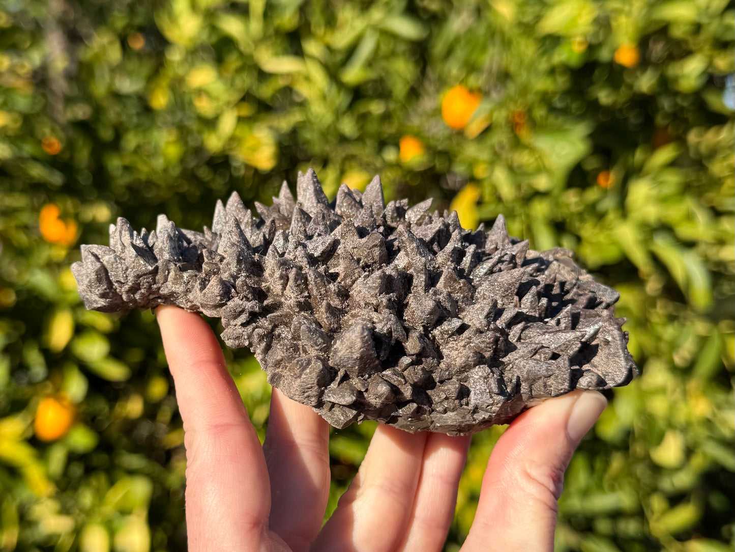 Side-view of the specimen, a thin undulating plate of calcite, the top covered with dogtooth crystals.