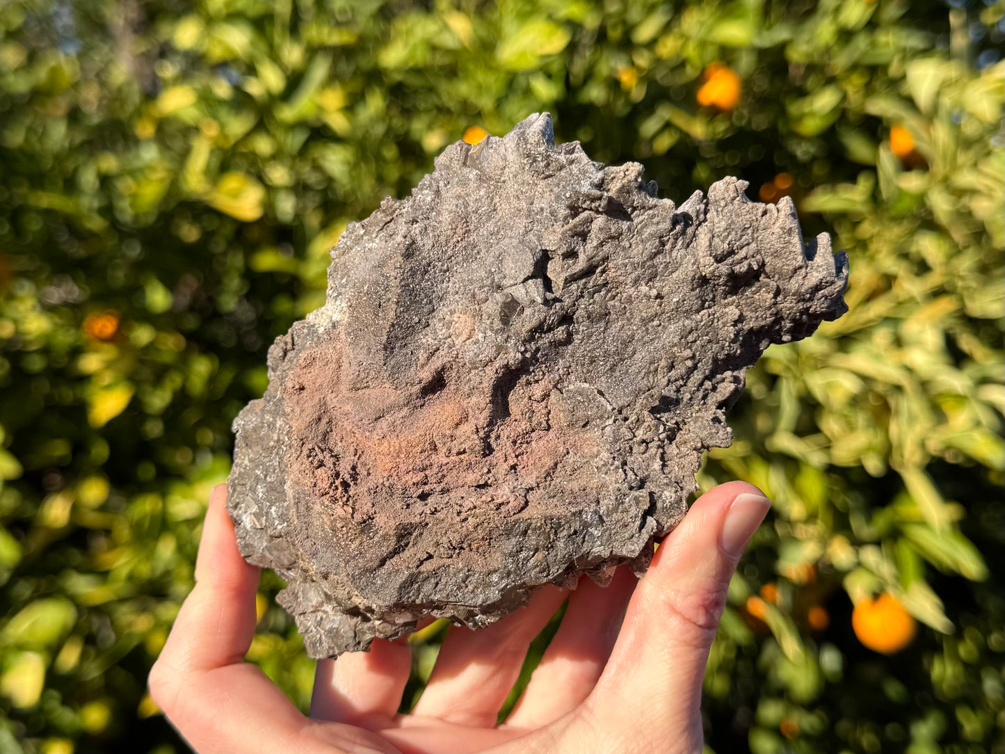 The back of the specimen, a rough dark brown matrix with a patch of softer oxidized material that is red-tinted. There is a slight gap in the middle of the top end, with several dogtooth points poking through the backside.