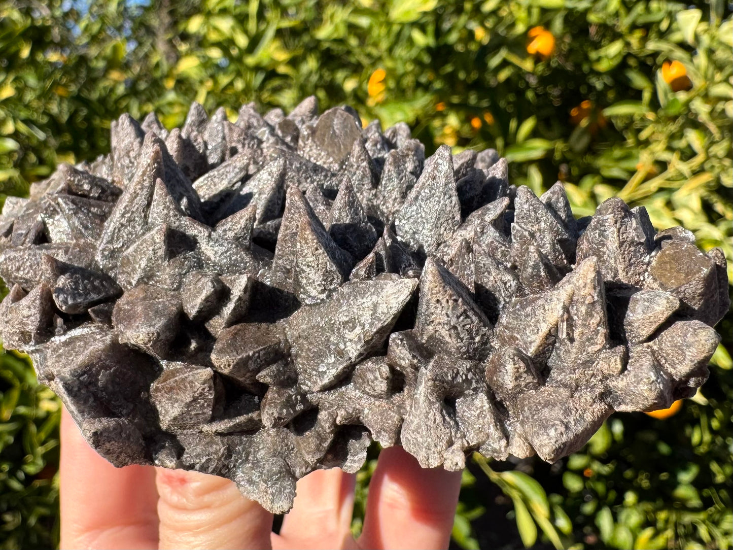 Detail view of the edge of the specimen, crystals pointed upwards. The dark points are coated with a mottled, crusty, off-white mineral.
