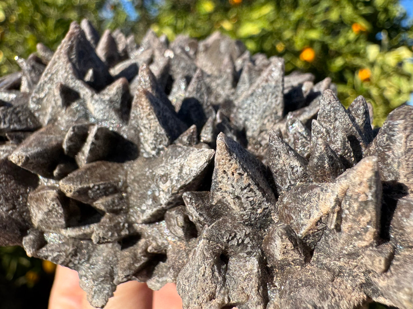 Detail view of the crusty white mineral overgrowth, like flakes mottling the surface.