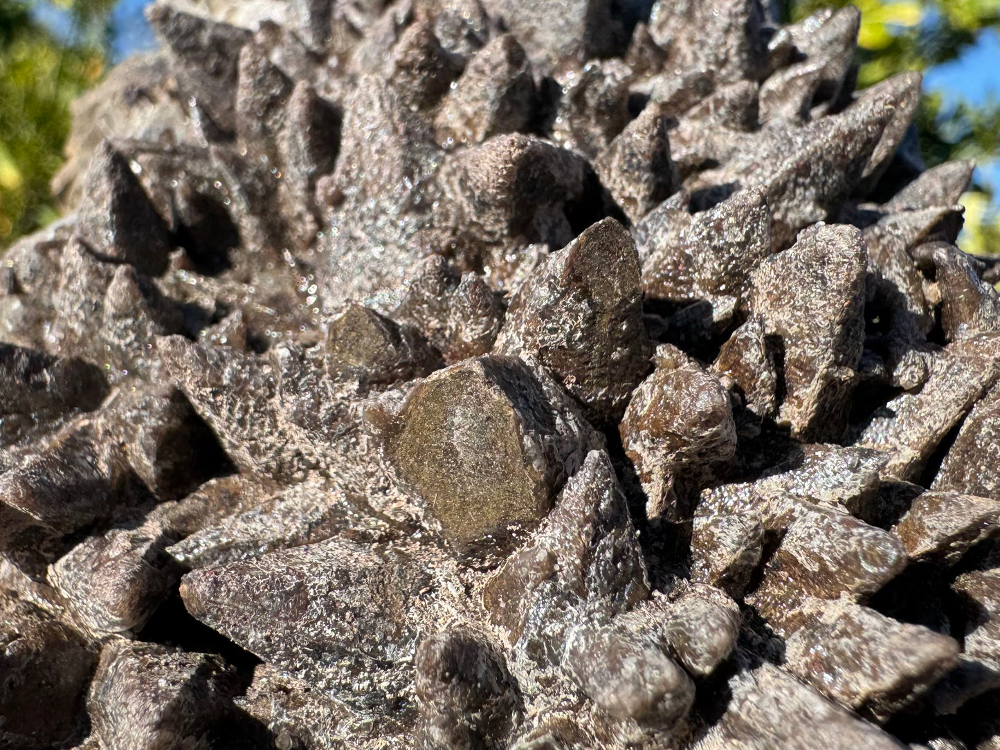 Detail of a group of three cleaved points, flat angled tops with yellow-brown interior exposed and dark brown borders.