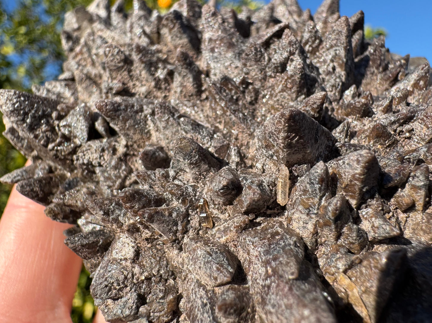 Detail view of two small quartz crystals among the dogtooth points, the one on the left tinted brown like smoky quartz.