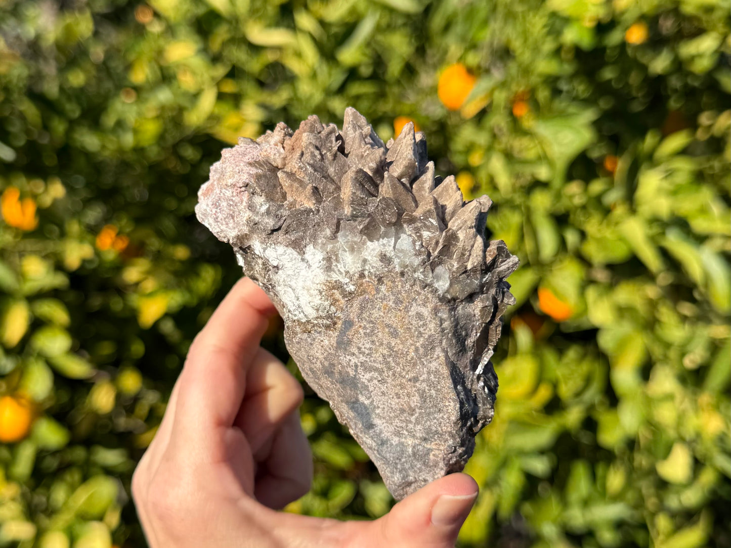 The backside of the specimen, a wedge of rock matrix with a rim of white broken clear calcite, then opaque brown.